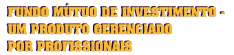 Fundo Mtuo de Investimento - Um produto gerenciado por profissionais