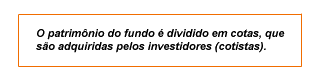 O patrimnio  divido em cotas, que so adquiridas pelos investidores (cotistas).